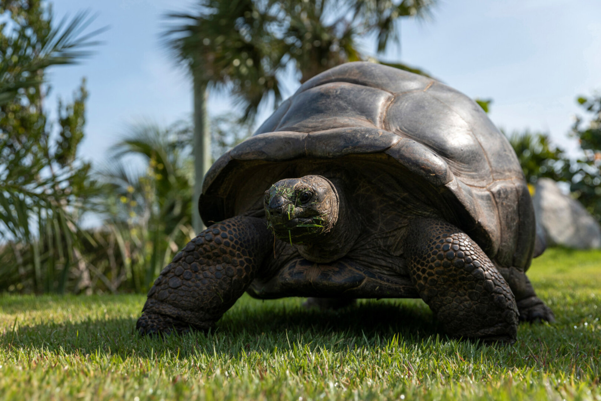 Book Necker Island, Your Own Private Paradise: Exclusive Access to Necker Island