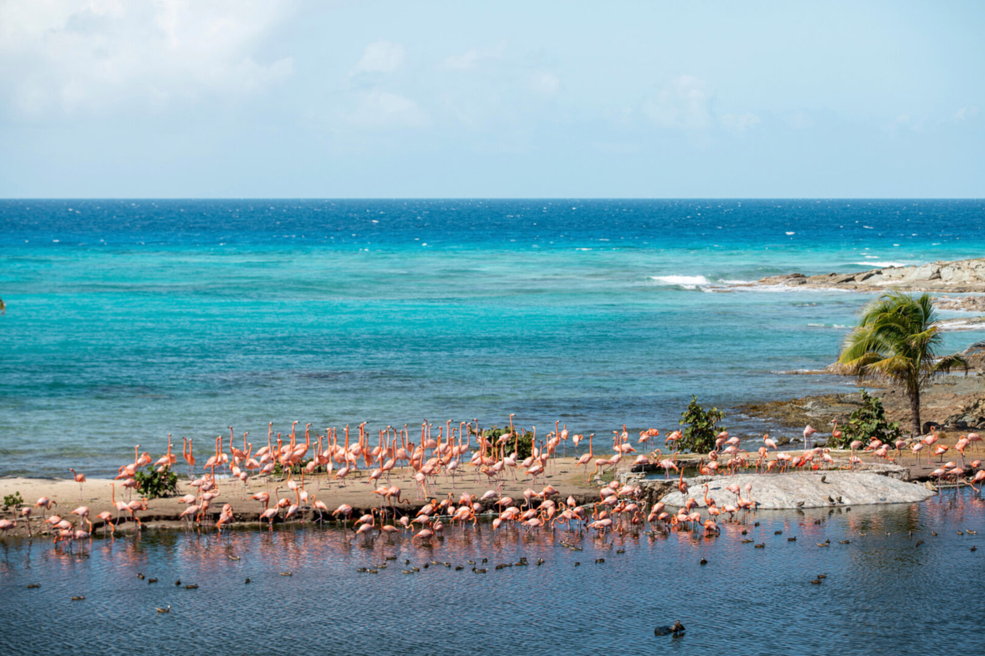 A Hidden Paradise in the Virgin Islands – 1001