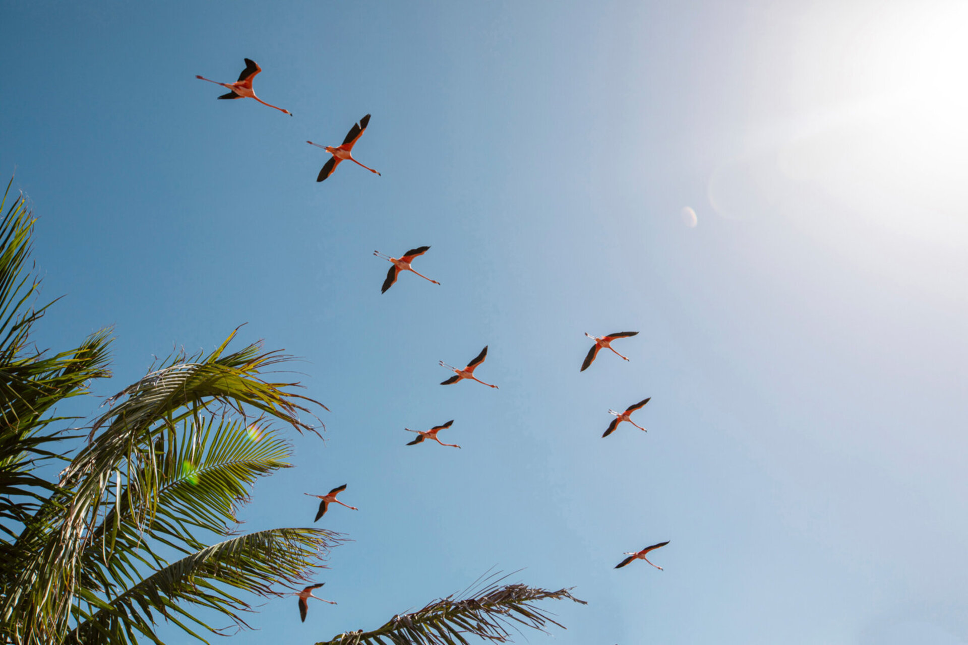 A Hidden Paradise in the Virgin Islands – 1001