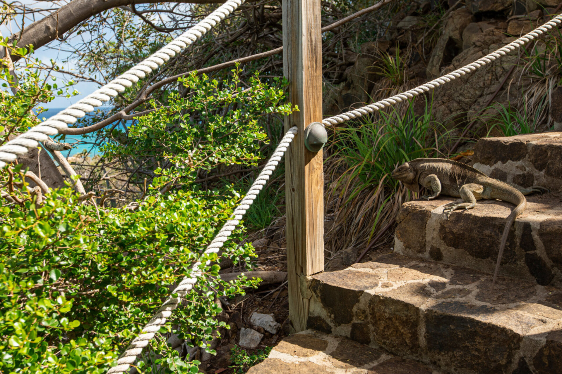 A Hidden Paradise in the Virgin Islands – 1001