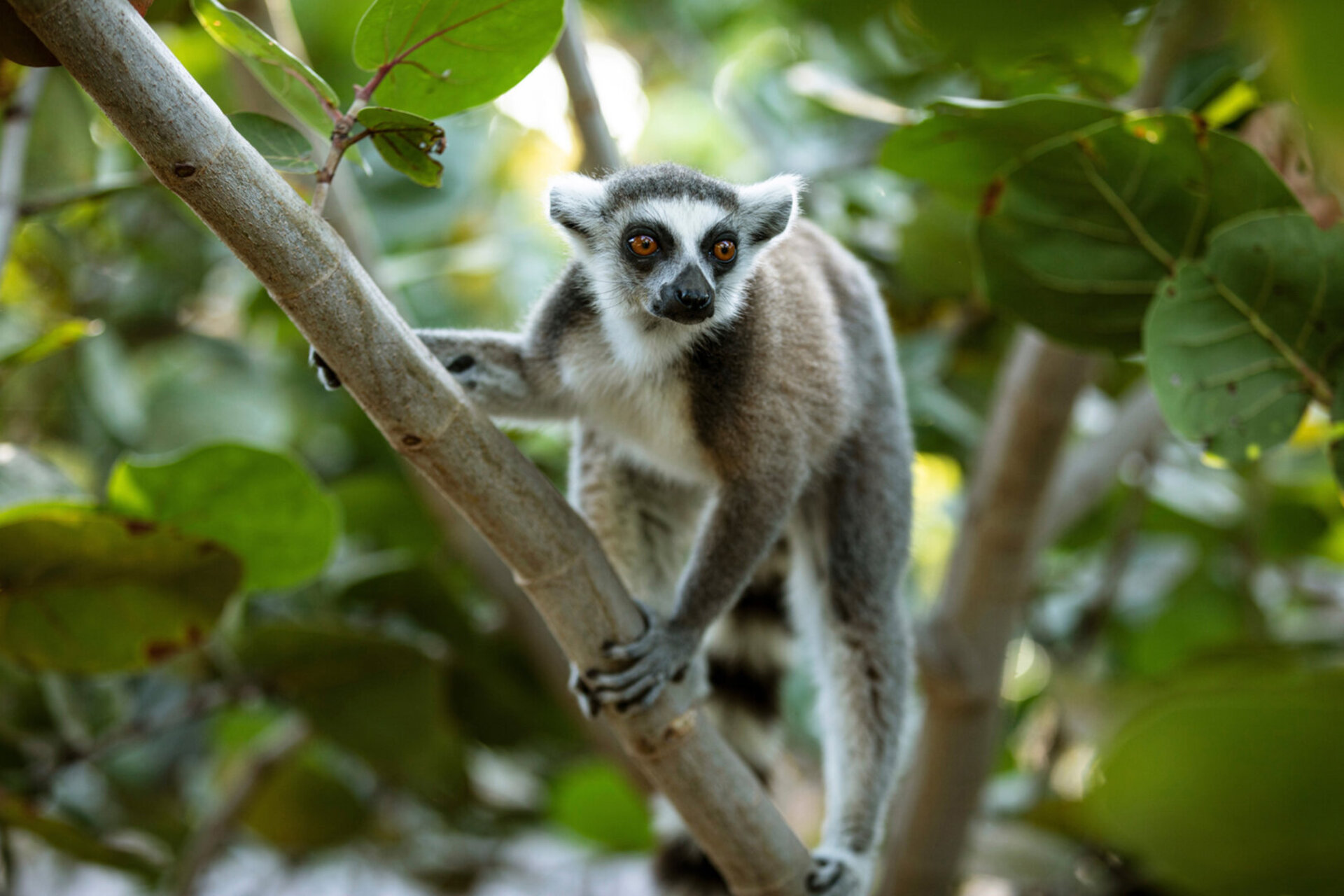 A Hidden Paradise in the Virgin Islands – 1001