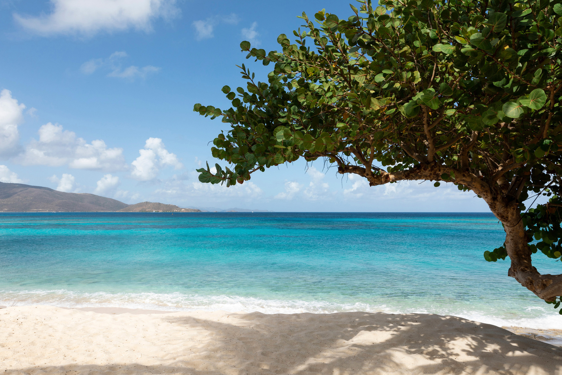 Serene Escape on a Caribbean Jewel - 1003