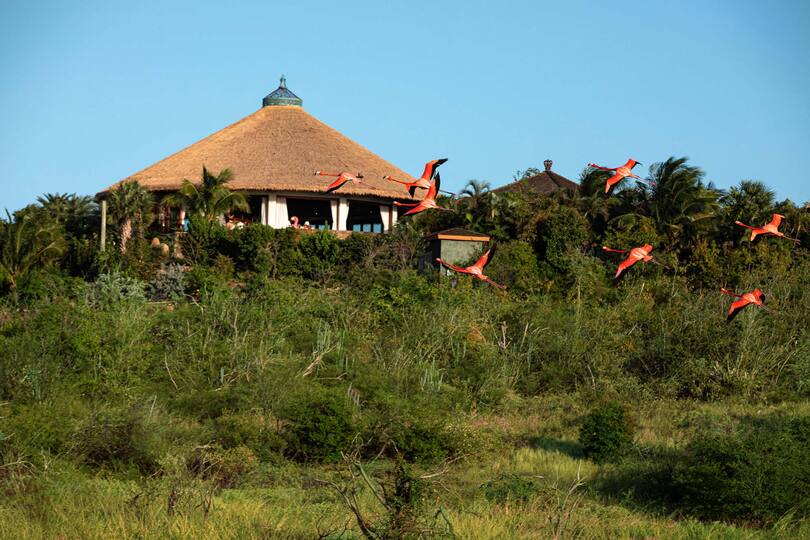 Serene Escape on a Caribbean Jewel - 1003