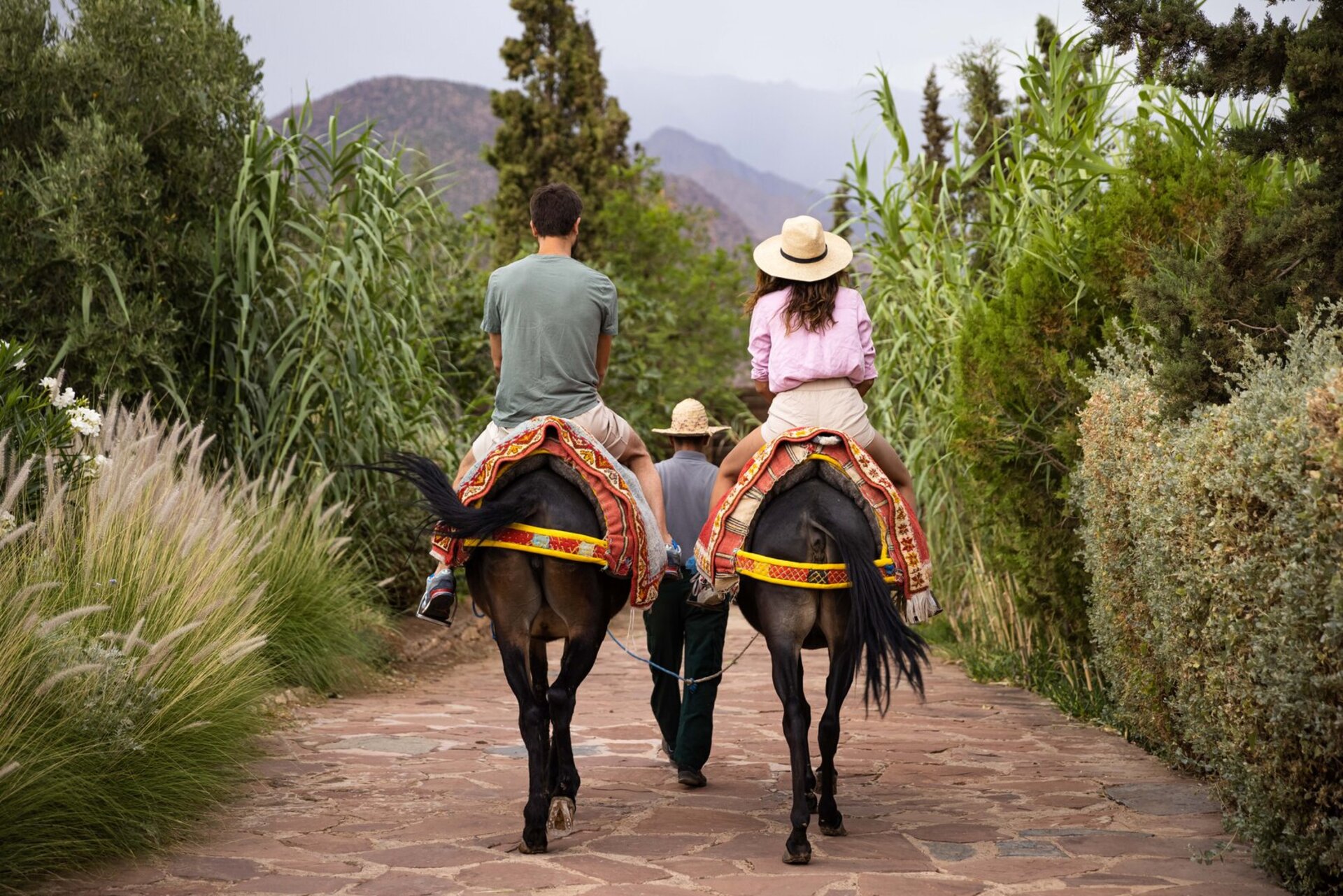 Timeless Retreat in the Atlas Mountains 1025