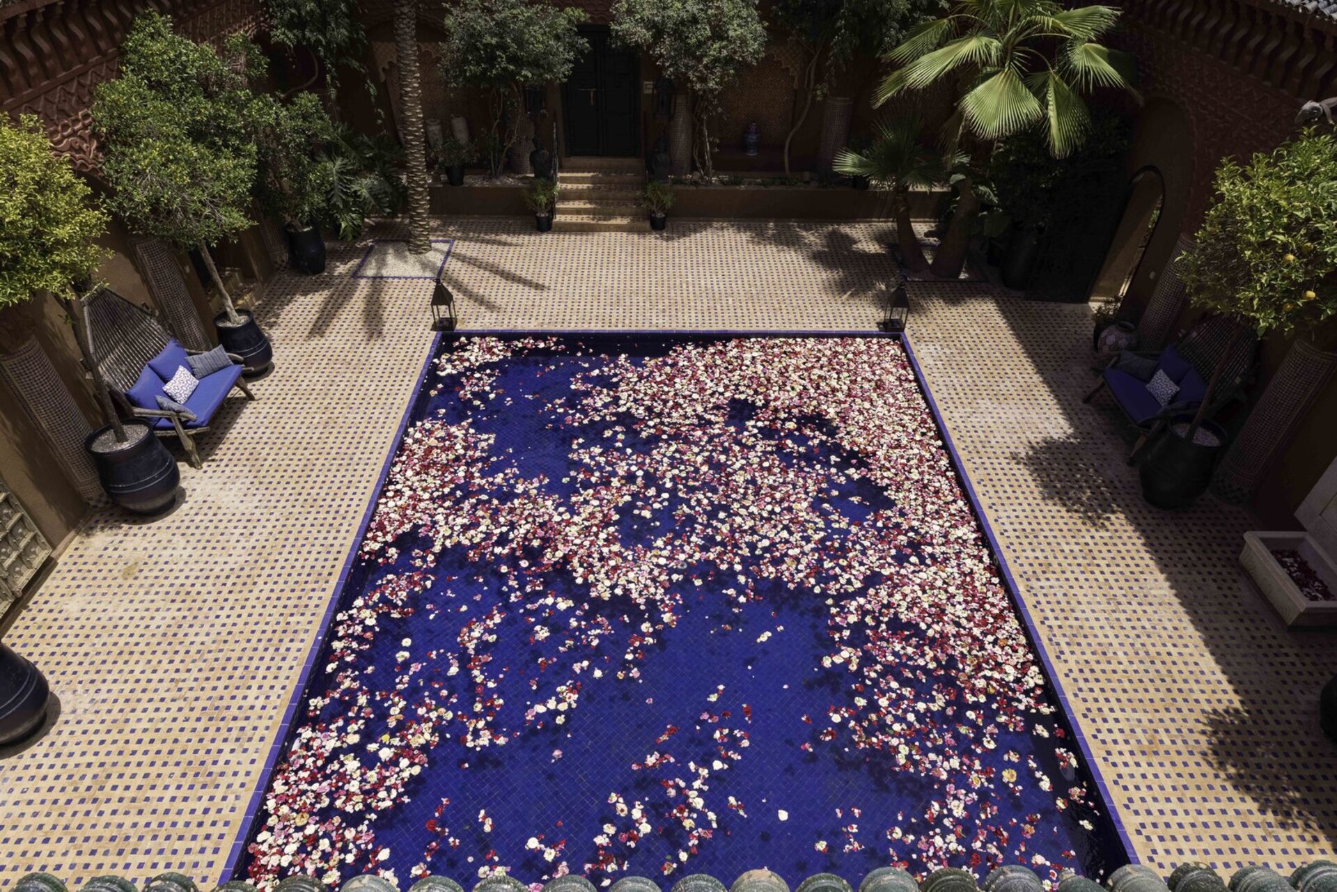Whispers of the Atlas: A Hidden Retreat in Morocco 1026