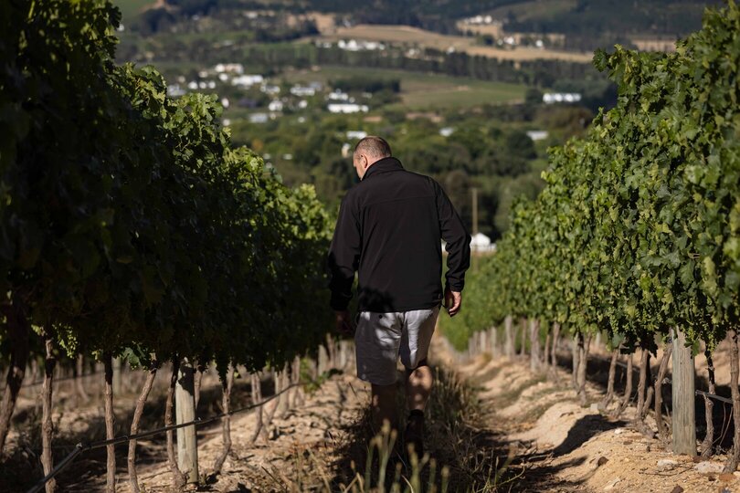 Mont Rochelle – A Luxurious Escape in Franschhoek, 1028
