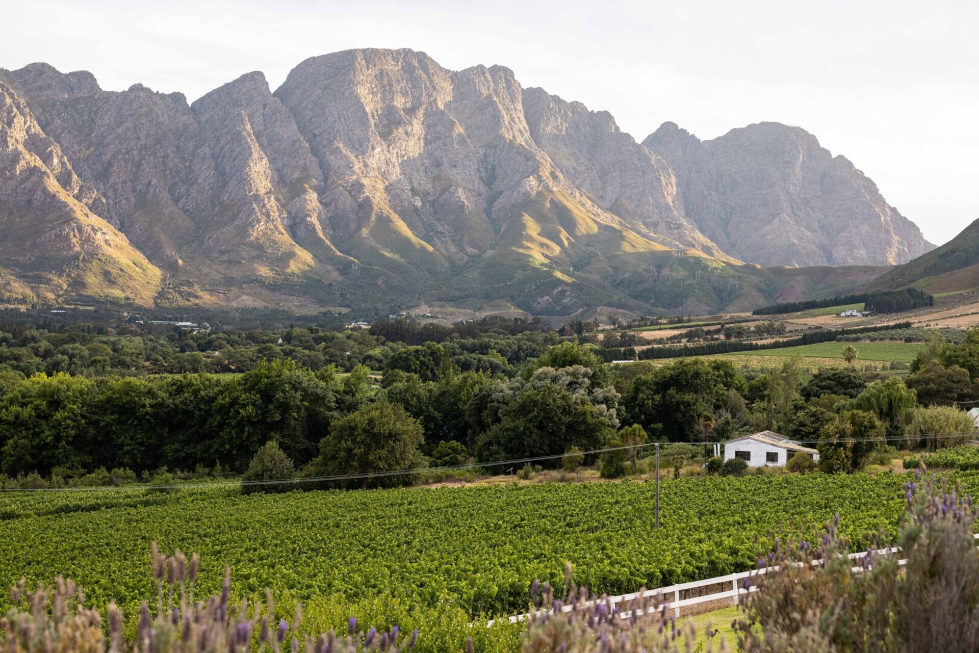 Mont Rochelle – A Luxurious Escape in Franschhoek, 1028