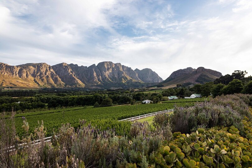 Mont Rochelle – A Luxurious Escape in Franschhoek, 1028
