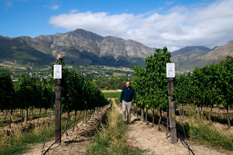 Mont Rochelle – A Luxurious Escape in Franschhoek, 1028