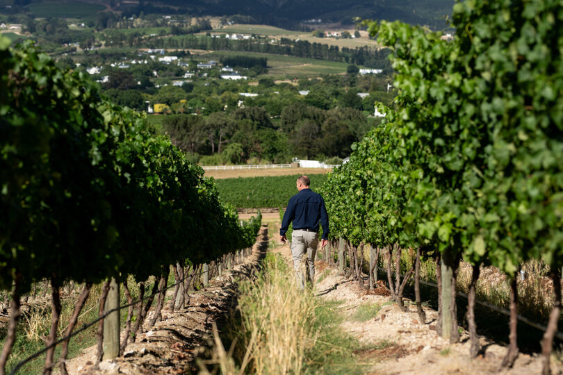Mont Rochelle – A Luxurious Escape in Franschhoek, 1028