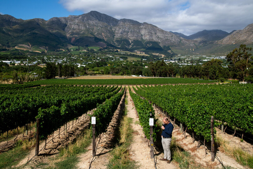 Mont Rochelle – A Luxurious Escape in Franschhoek, 1028