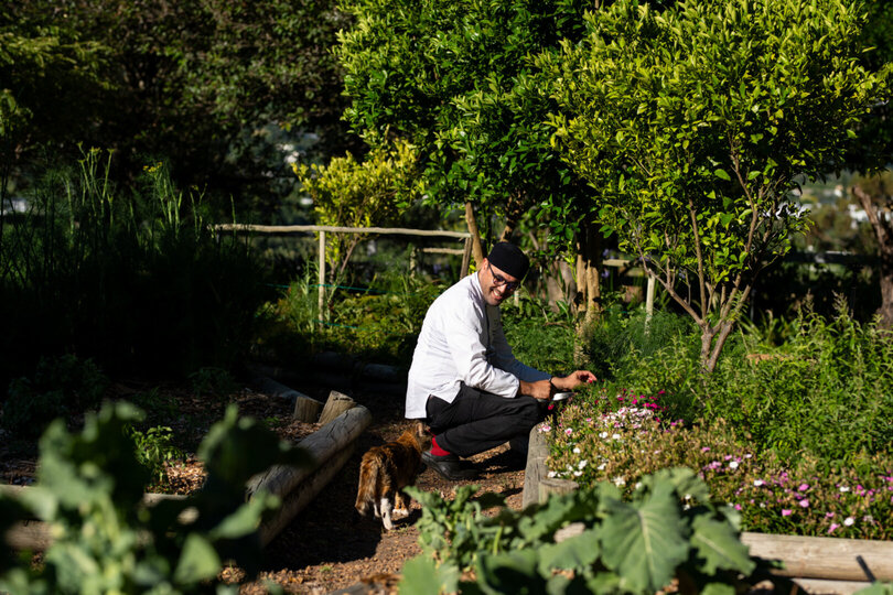 Mont Rochelle – A Luxurious Escape in Franschhoek, 1028