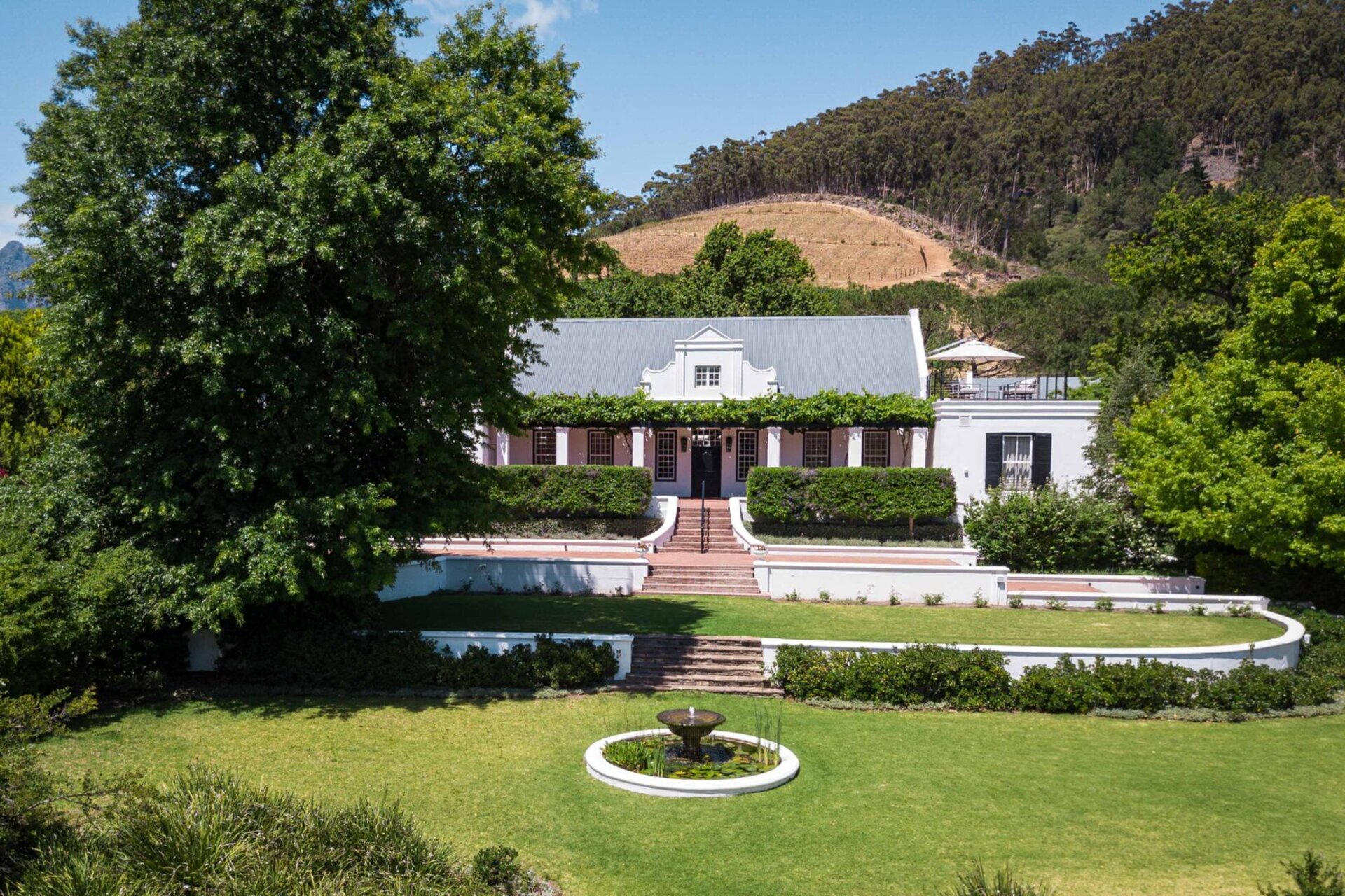 Elegant Shiraz Room with Vineyard & Mountain Views 1037