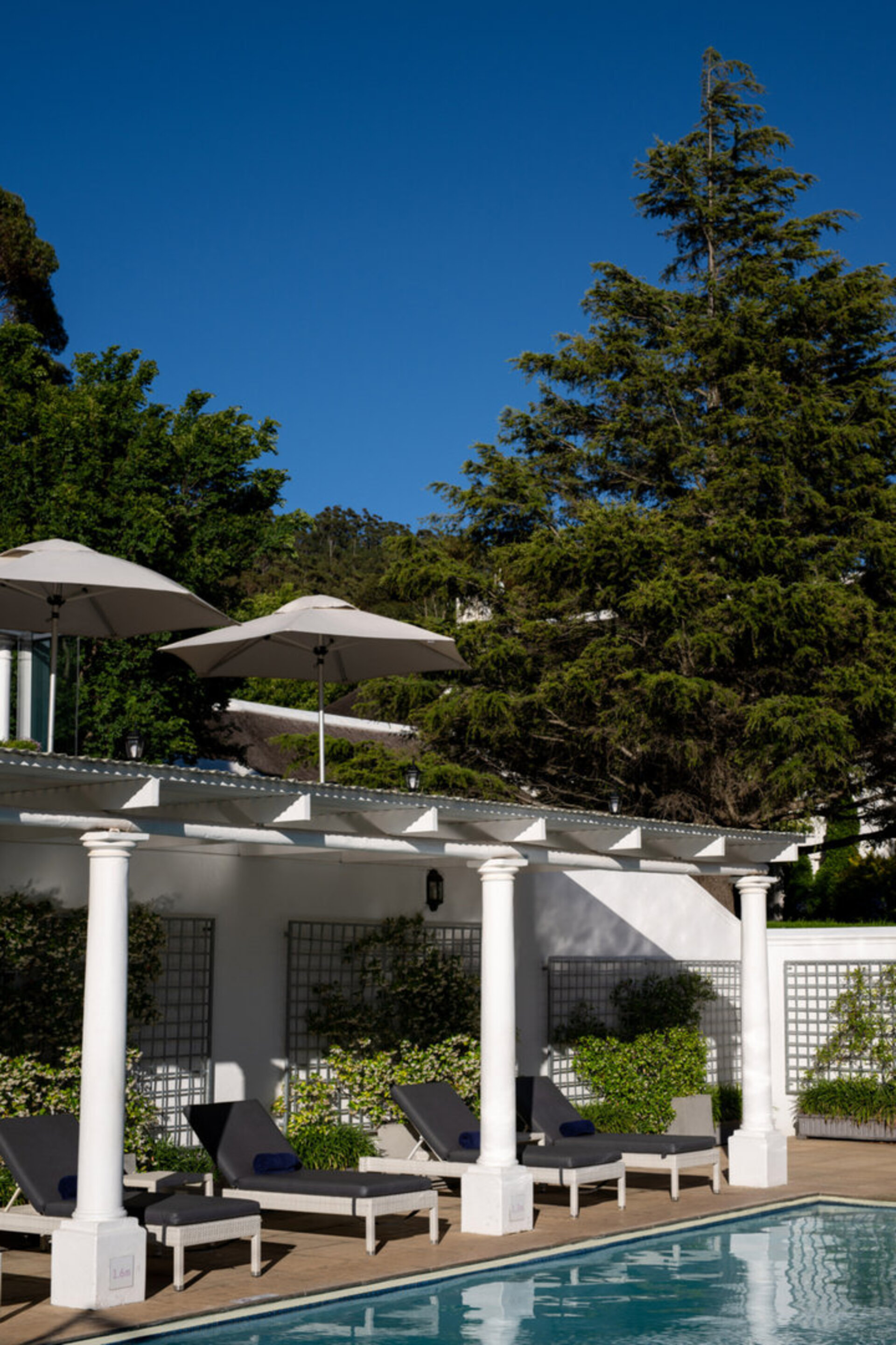 Elegant Shiraz Room with Vineyard & Mountain Views 1037
