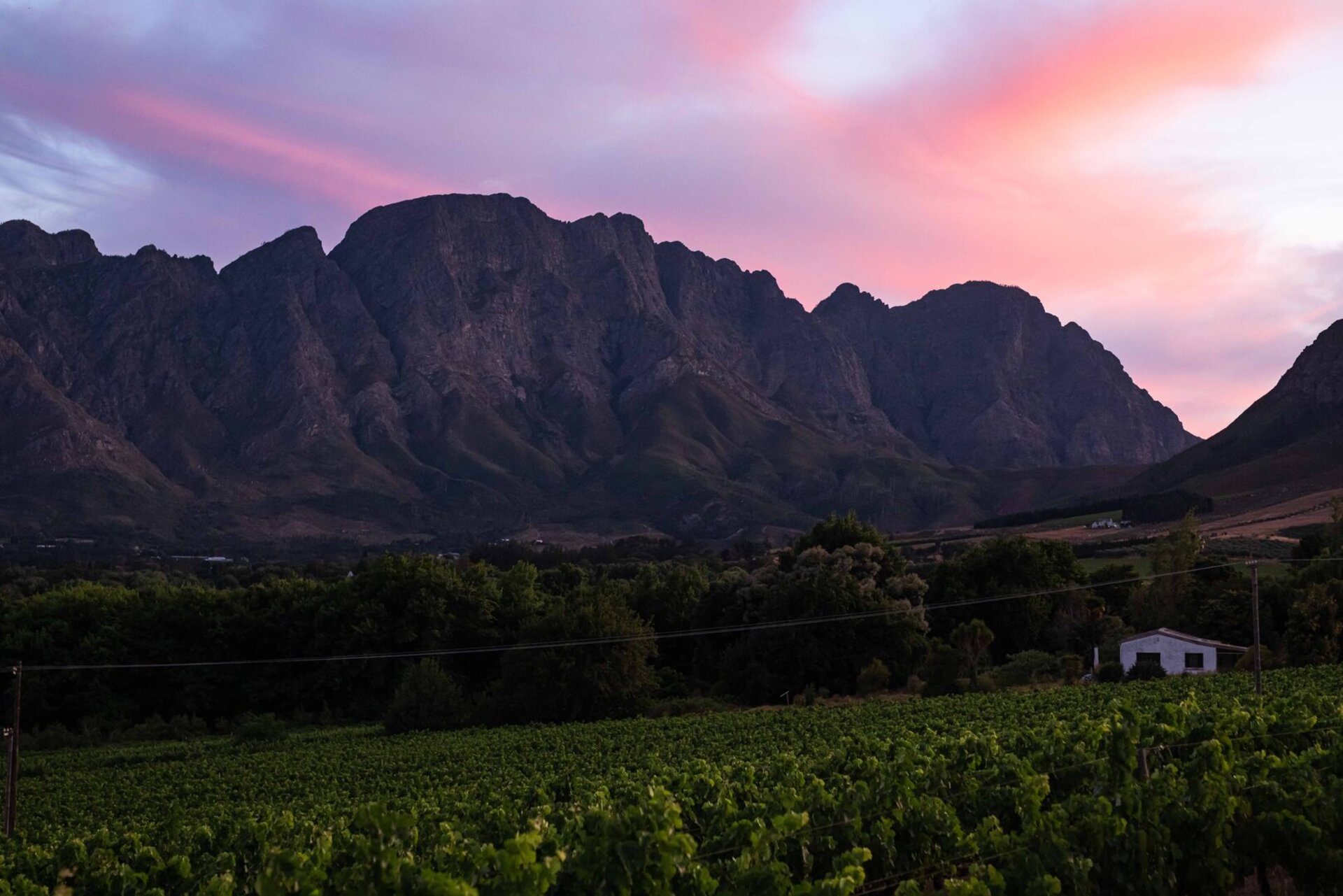 Cap Classique Vineyard Pool Suites with Private Pool 1043
