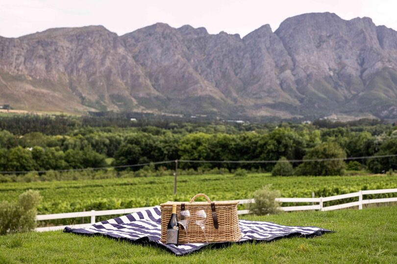 Cap Classique Vineyard Pool Suites with Private Pool 1043
