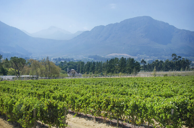Chardonnay Room 1 with Manor Views 1044