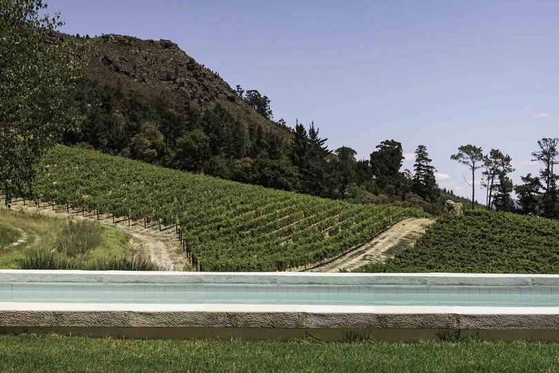 Viognier Room 1063