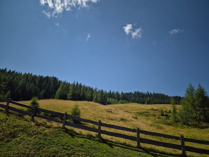 View