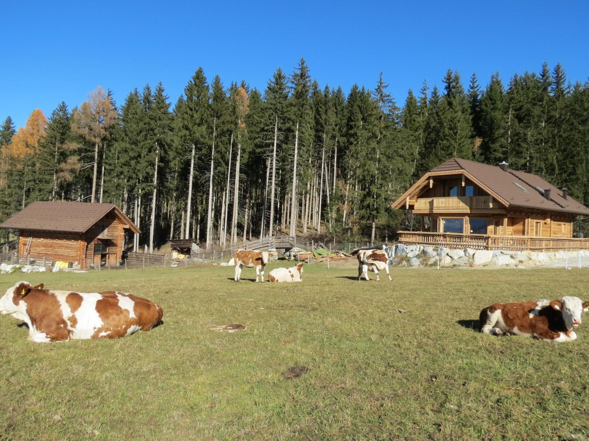 Stunning 3-Bed House in Tamsweg, Sleeps 2, 1110