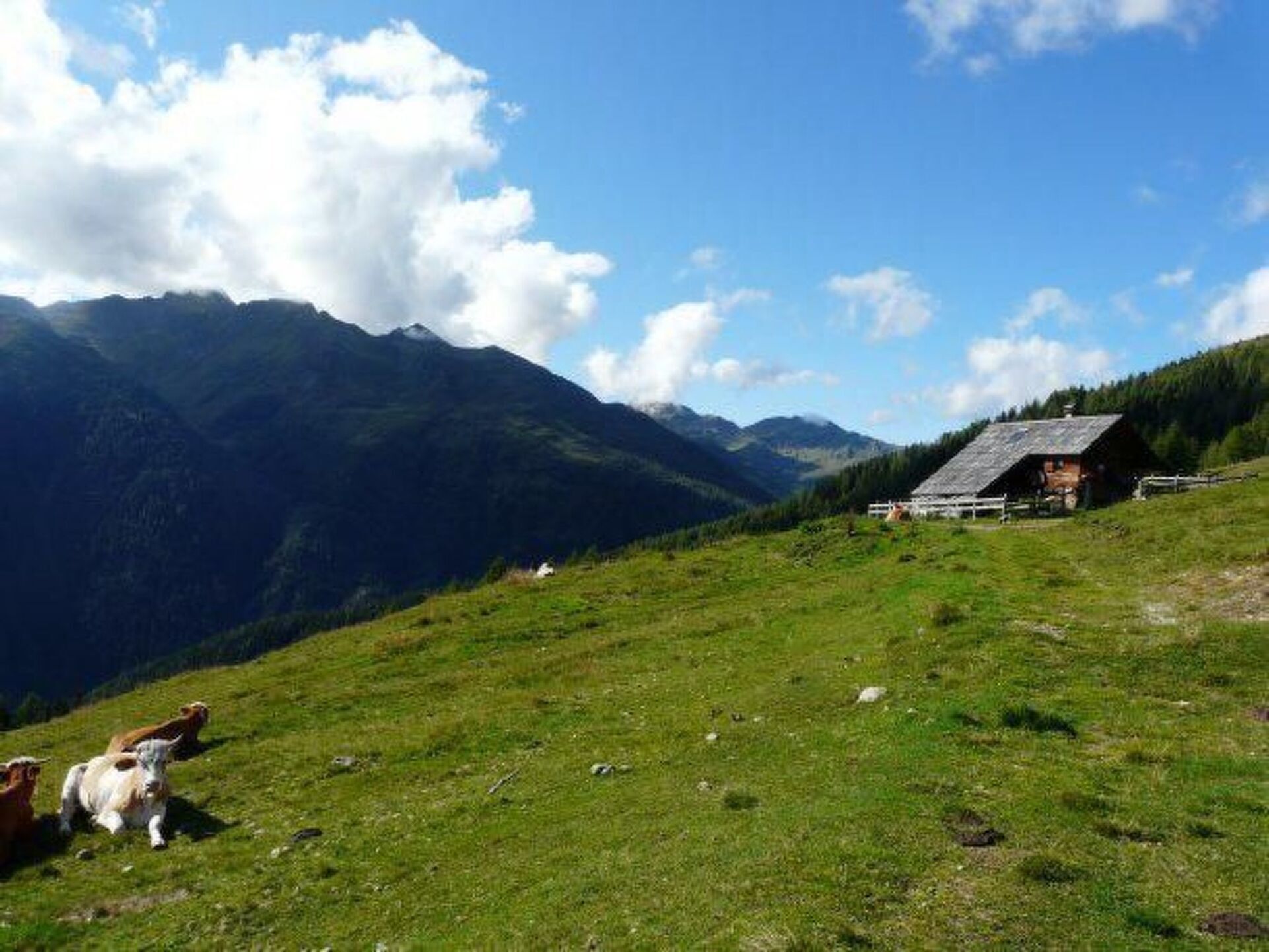 3-Bed House in Spittal an der Drau, Sleeps 8, 1056