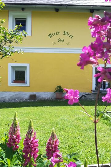 Serene 2-Bed Apartment in Tamsweg, Sleeps 6, 1104