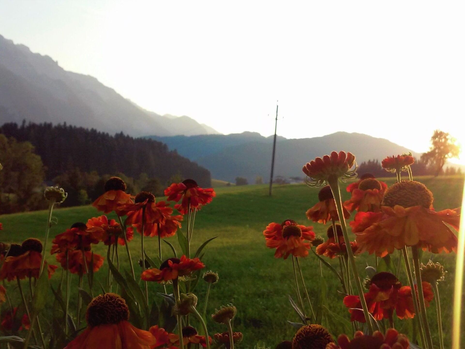 2-Bed Apartment in Hallein, Sleeps 5, 1107