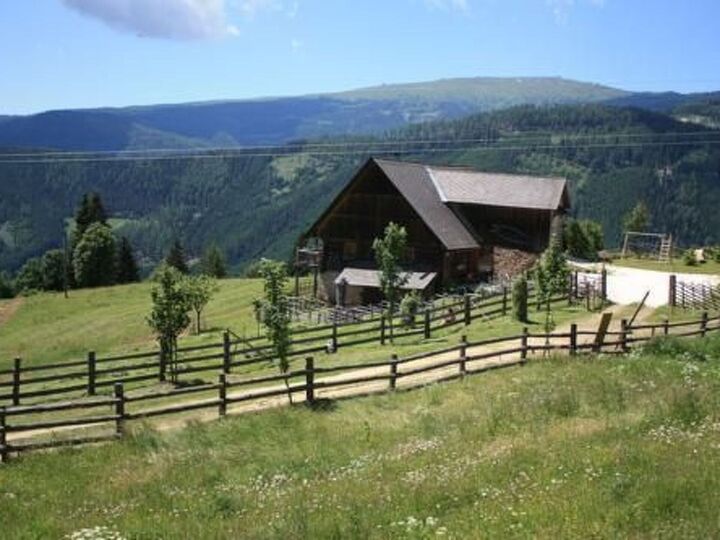 Inviting 4-Bed House in Wolfsberg, Sleeps 10, 1103