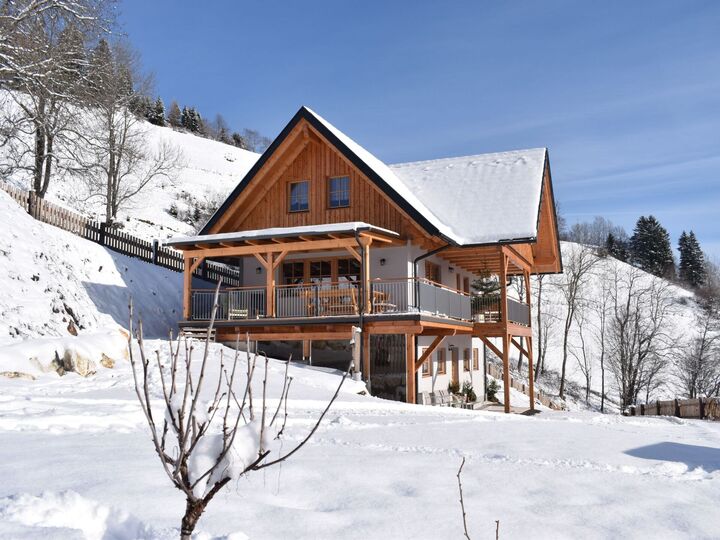 3-Bed House with Mountain View in Wolfsberg, Sleeps 10, 1090
