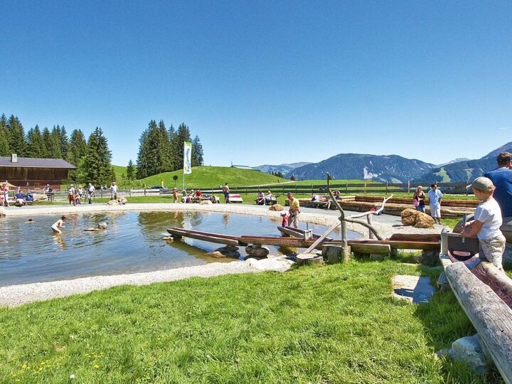 Stylish 4-Bed Apartment in Kitzbuhel, Sleeps 8, 1170