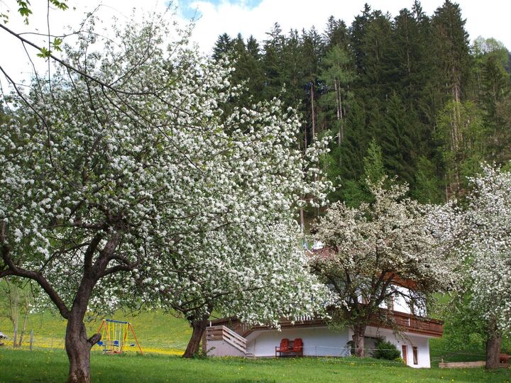 3-Bed House with Mountain View in Schwaz, Sleeps 7, 1176
