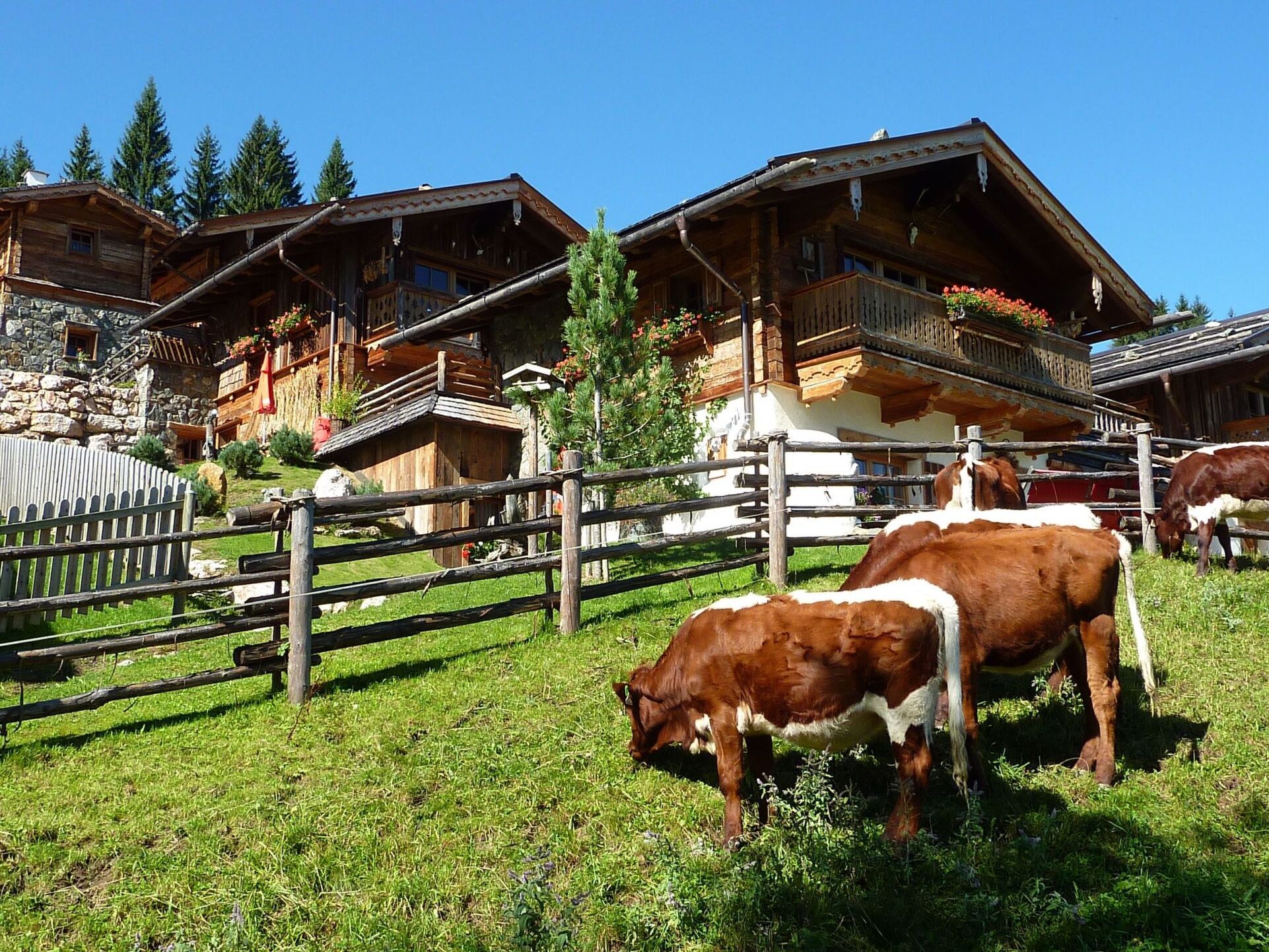 3-Bed House in Sankt Johann im Pongau, Sleeps 6, 1137