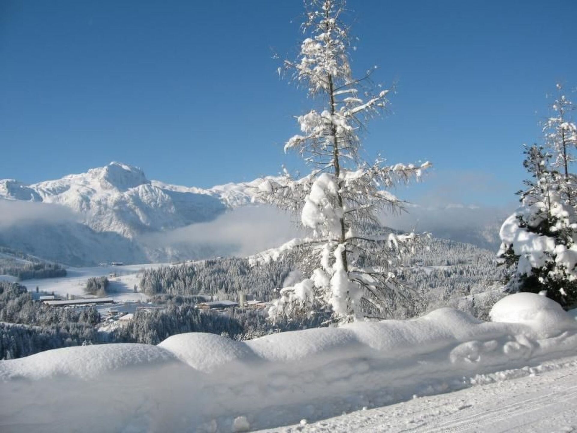 Charming 2-Bed Apartment in Hallein, Sleeps 4, 1119