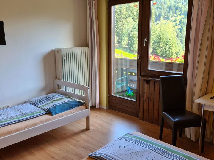 Idyllic 3-Bed Apartment in Liezen, Sleeps 10, 1023