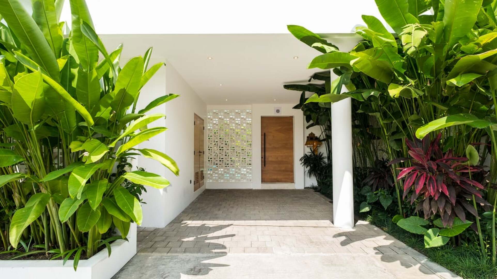 5 Star Loona Palm Canggu Estate - Contemporary Tropical Escape