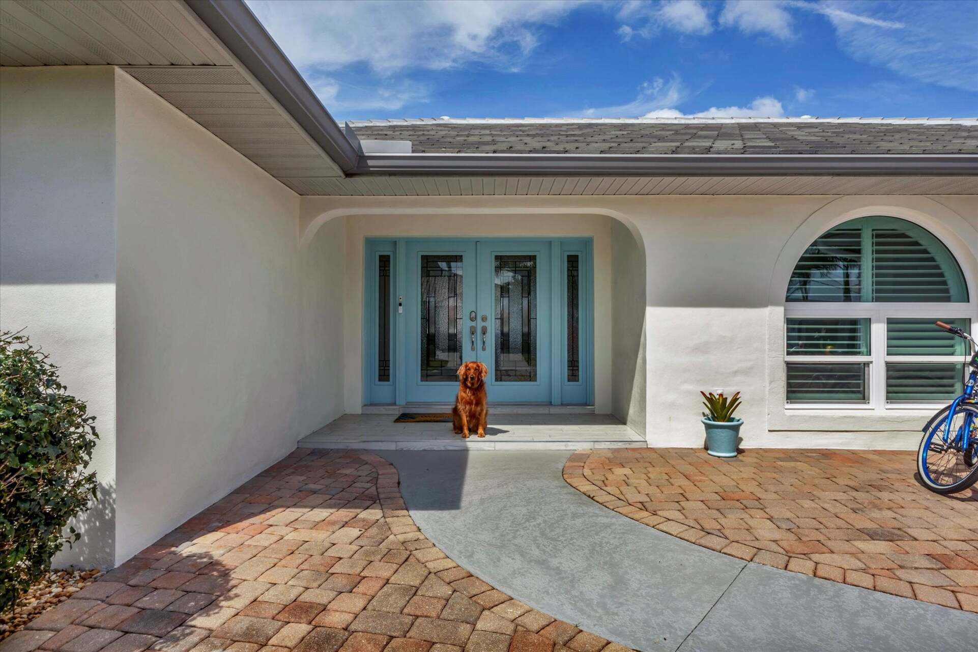 Dog-Friendly Home!